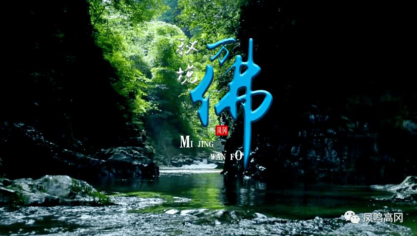 热搜丨刘涛的烤瓷牙变成蓝牙了，姐别整了，你本来就很好看的！